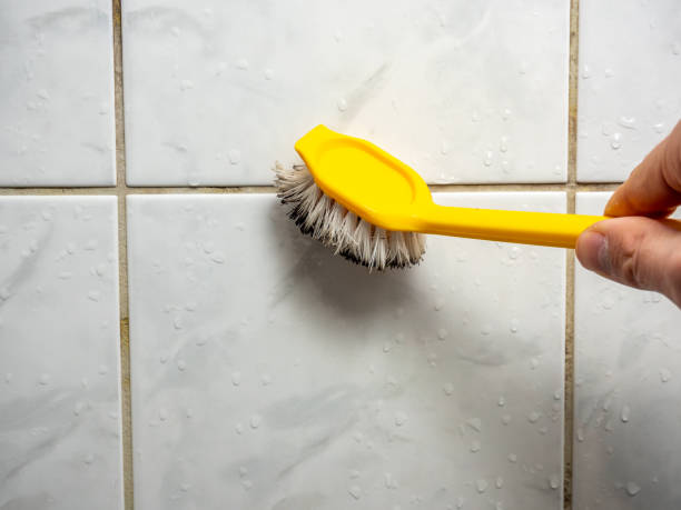 Certified Mold Removal in Berrien Springs, MI