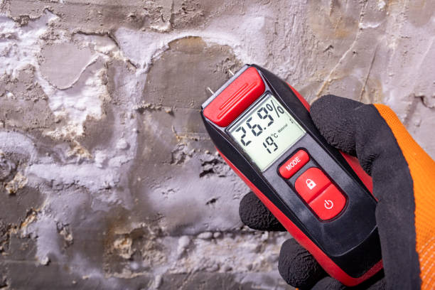 Best Affordable Mold Removal  in Berrien Springs, MI