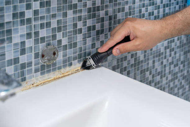 Best Water Damage Restoration  in Berrien Springs, MI